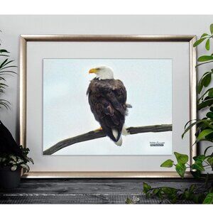 Bald Eagle on a Limb Photography‎ Oil Painting Art Print